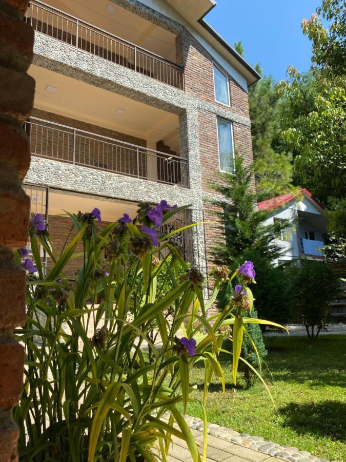 Guest House Shekvetili Buitenkant foto